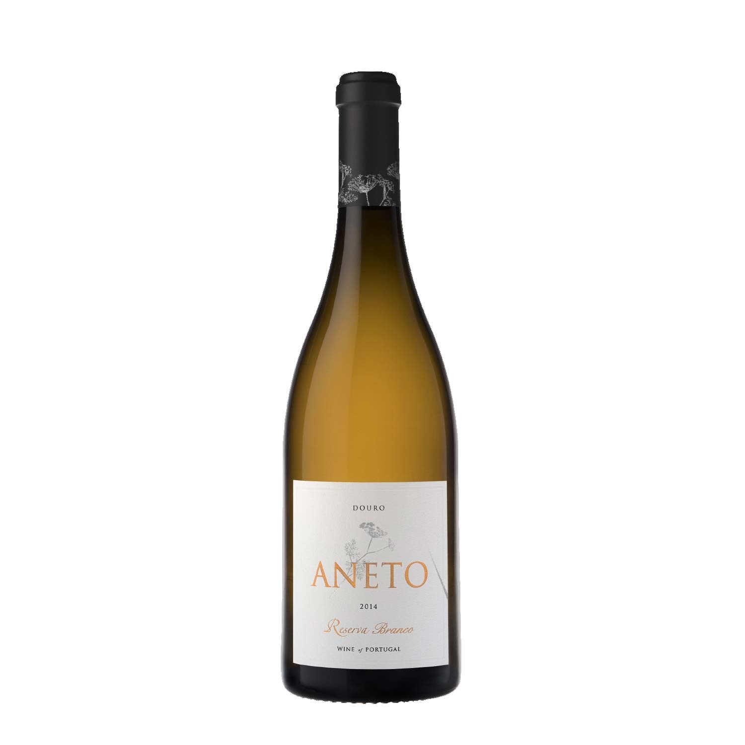 Aneto Reserva 2020 - Aneto Wines