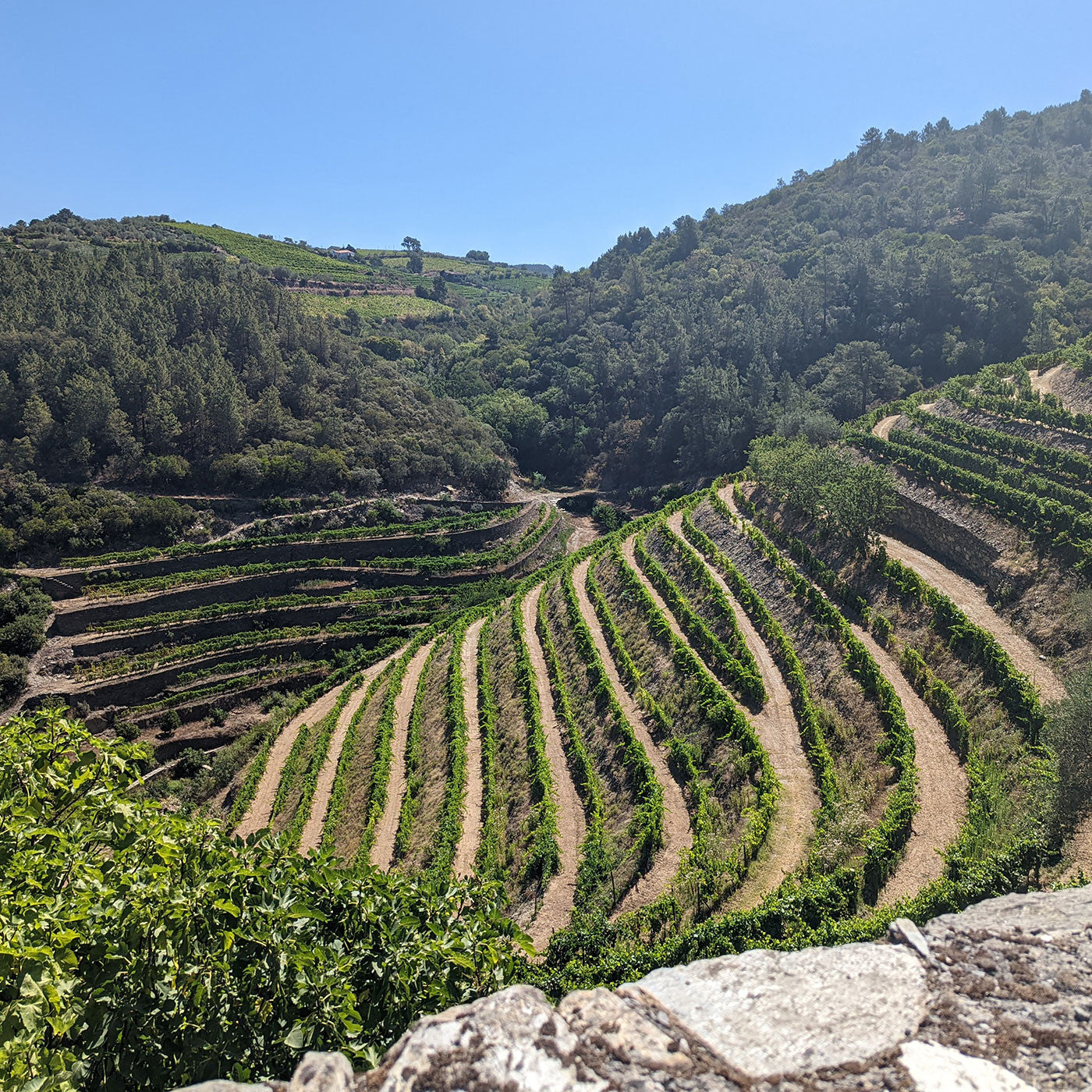 20 years Tawny Portvin - Quinta da Prelada