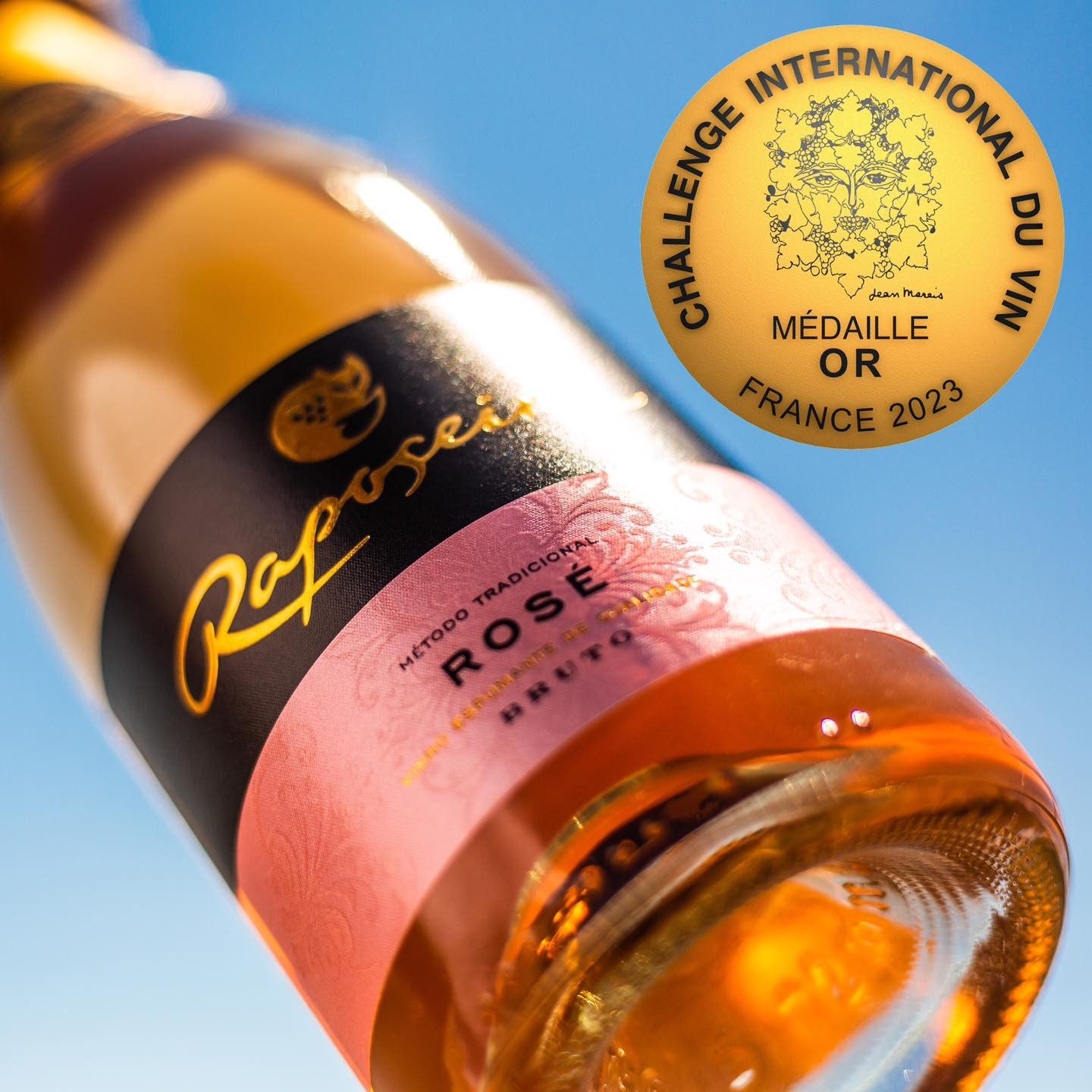 Gourmet Super Reserva Rosé Bruto 2016 - Raposeira