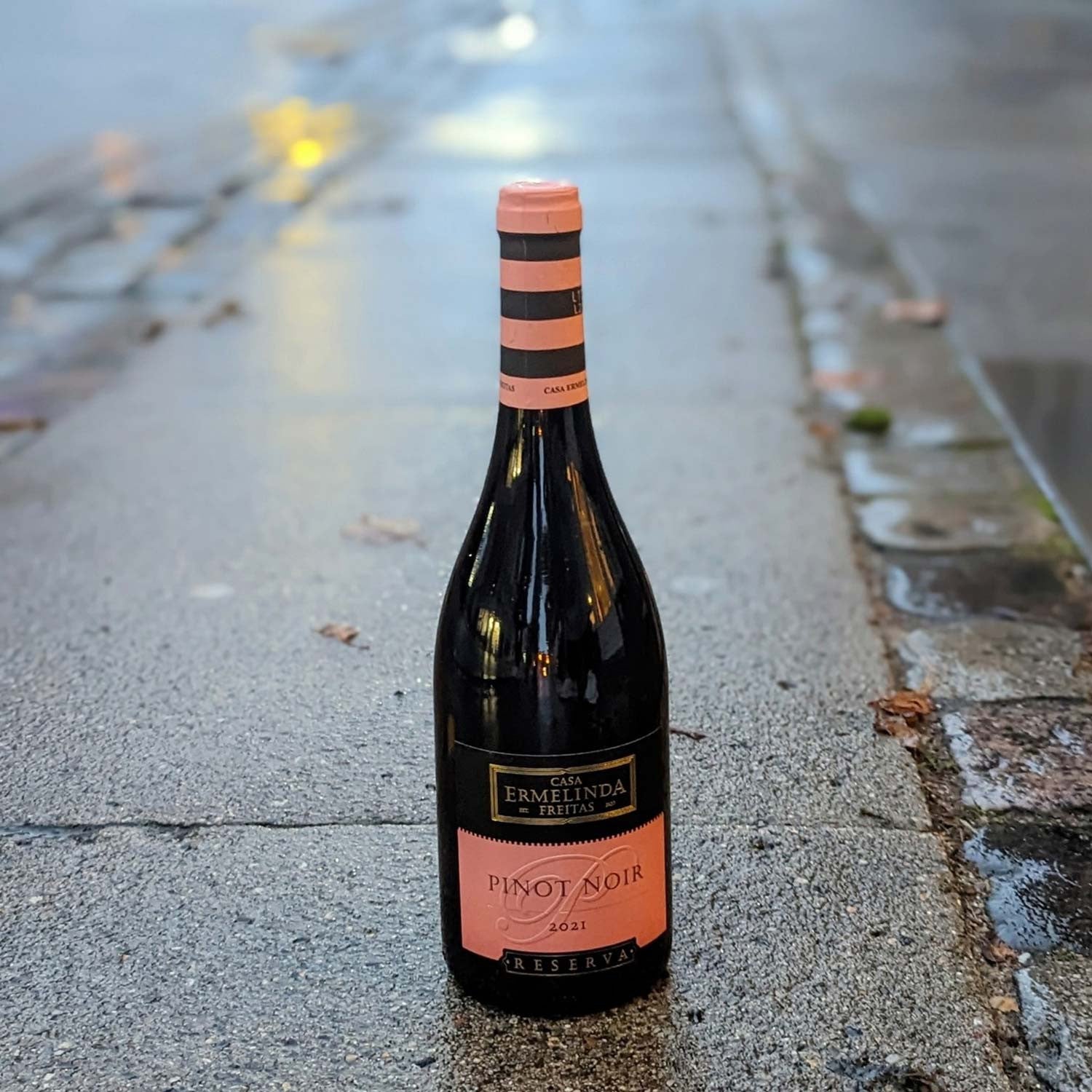 Pinot Noir 2021 Reserva - Casa Ermelinda Freitas