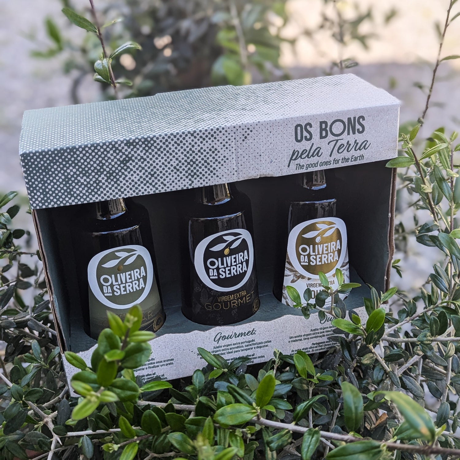 Gavepakke med 3 x ekstra jomfru olivenolie - Oliveira da Serra