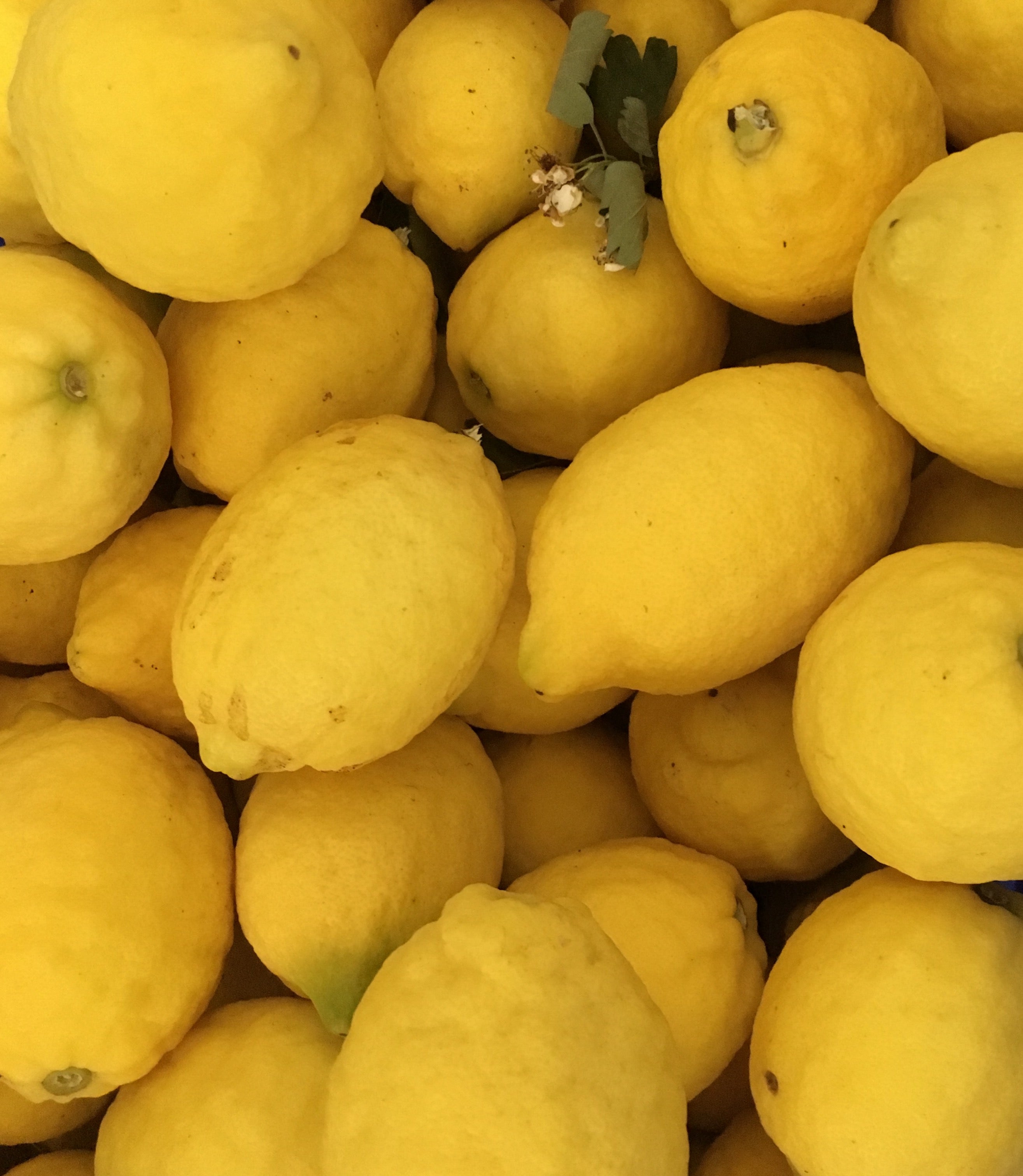 Lemon Curd - Beirabaga