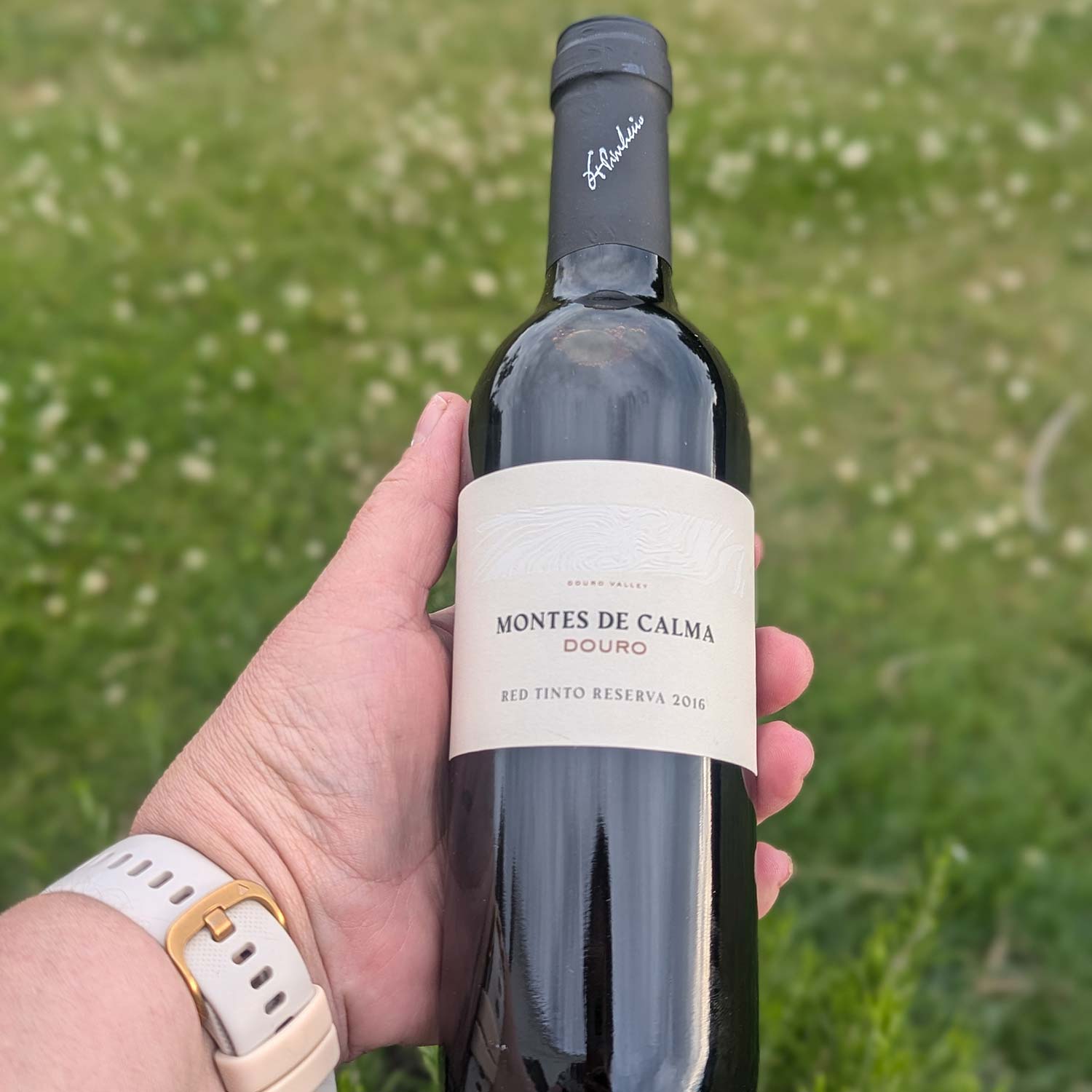 Montes de Calma Reserva Tinto 2016, 37,5 cl