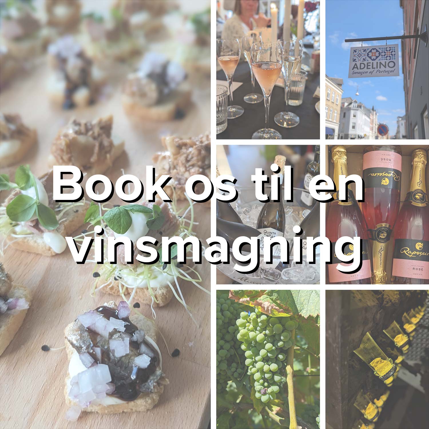 Book os til en vinsmagning / portvinssmagning