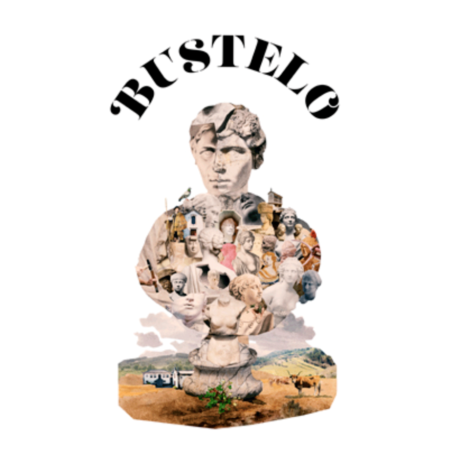 Bustelo Rosé 2024 - Cas' Amaro