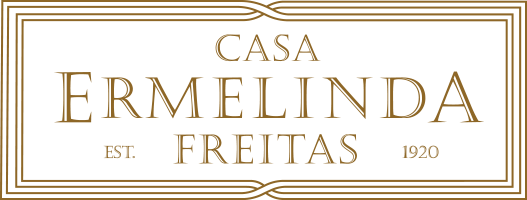 Touriga Nacional Reserva 2021 - Ermelinda Freitas
