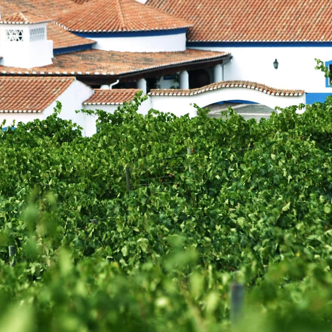 Tapada do Chaves - Reserva Tinto 2017, DOC Alentejo Portalegre