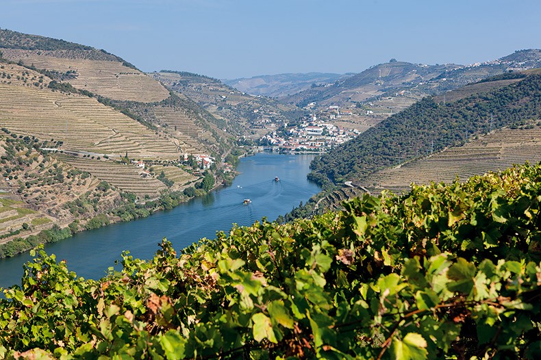 Douro, rejser og historier - Bog