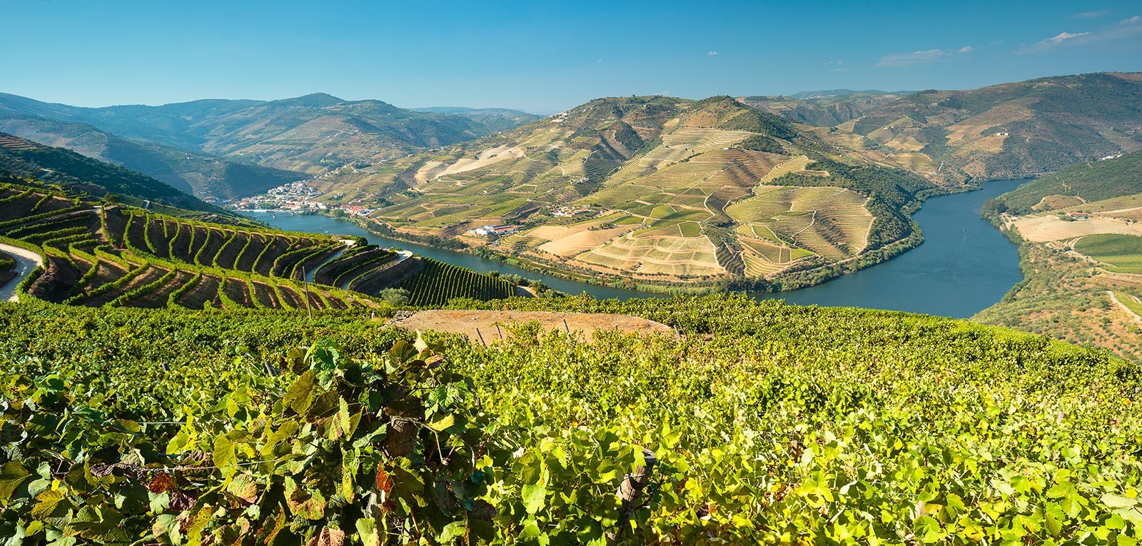 Douro, rejser og historier - Bog