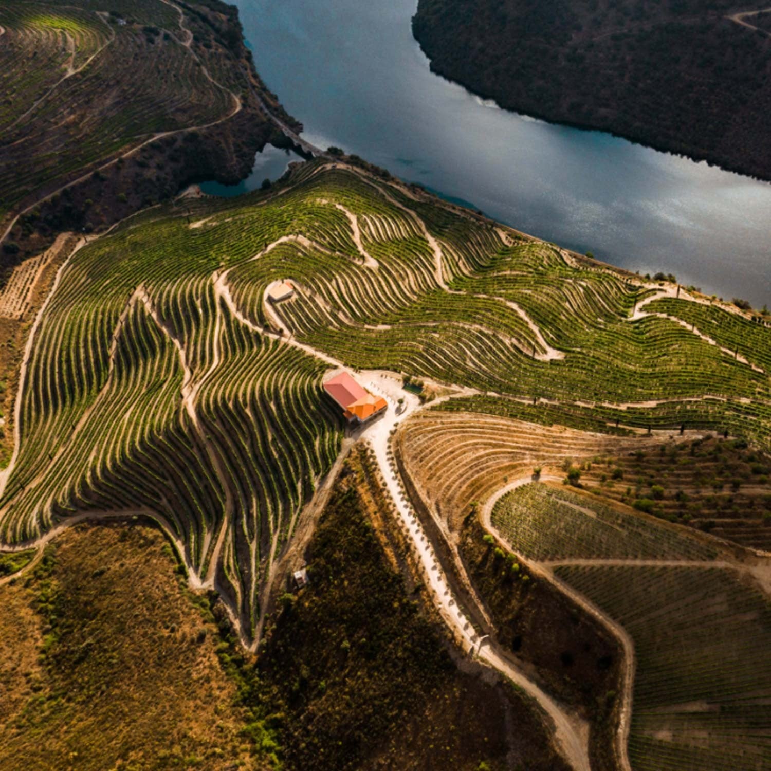 Vinhas de Canivães DOC Douro Tinto 2019