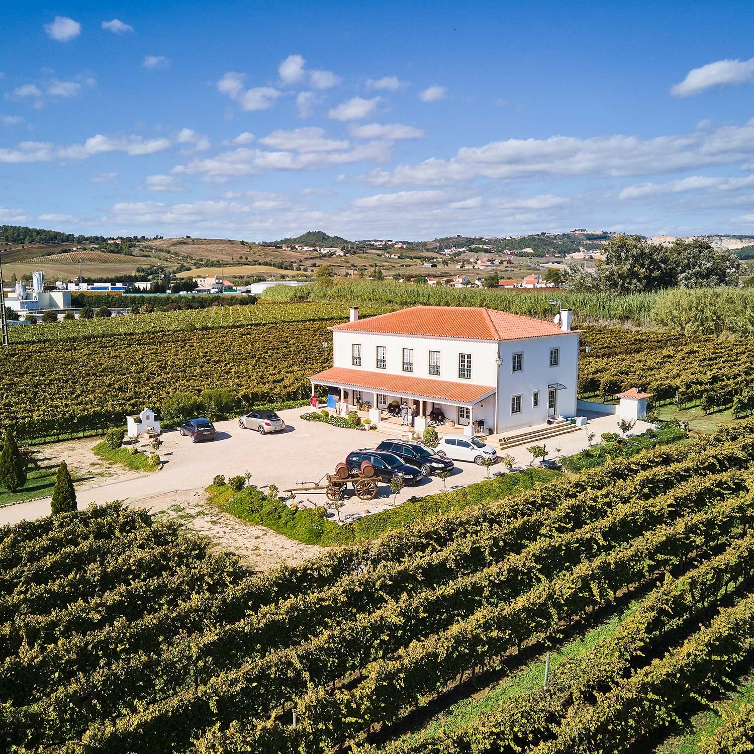 5ª do Lagar Novo Branco 2021 - Quinta do Lagar Novo