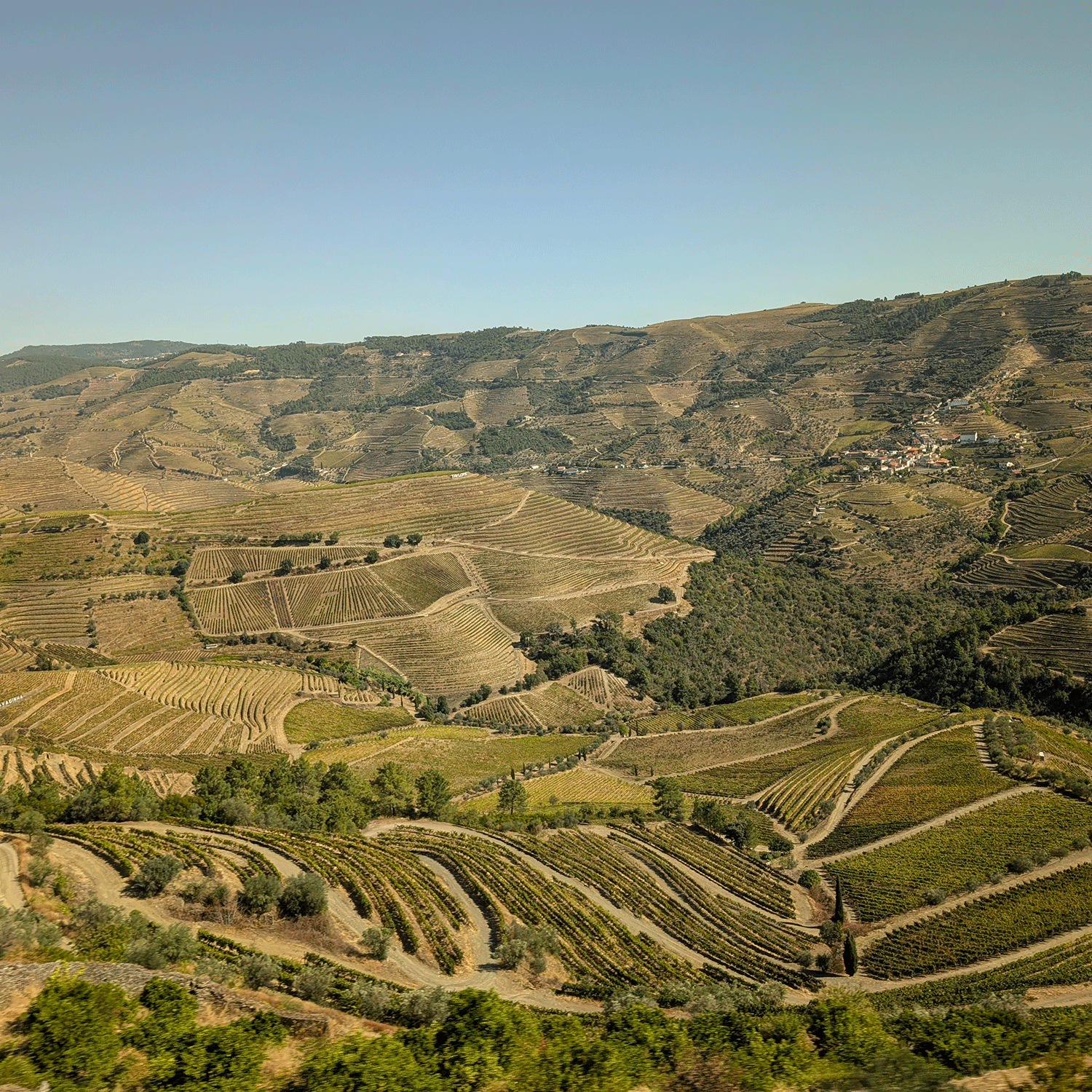 Adelino Wine Lab – Vinsmagning "Douro Beyond Port", 19. juni 2026