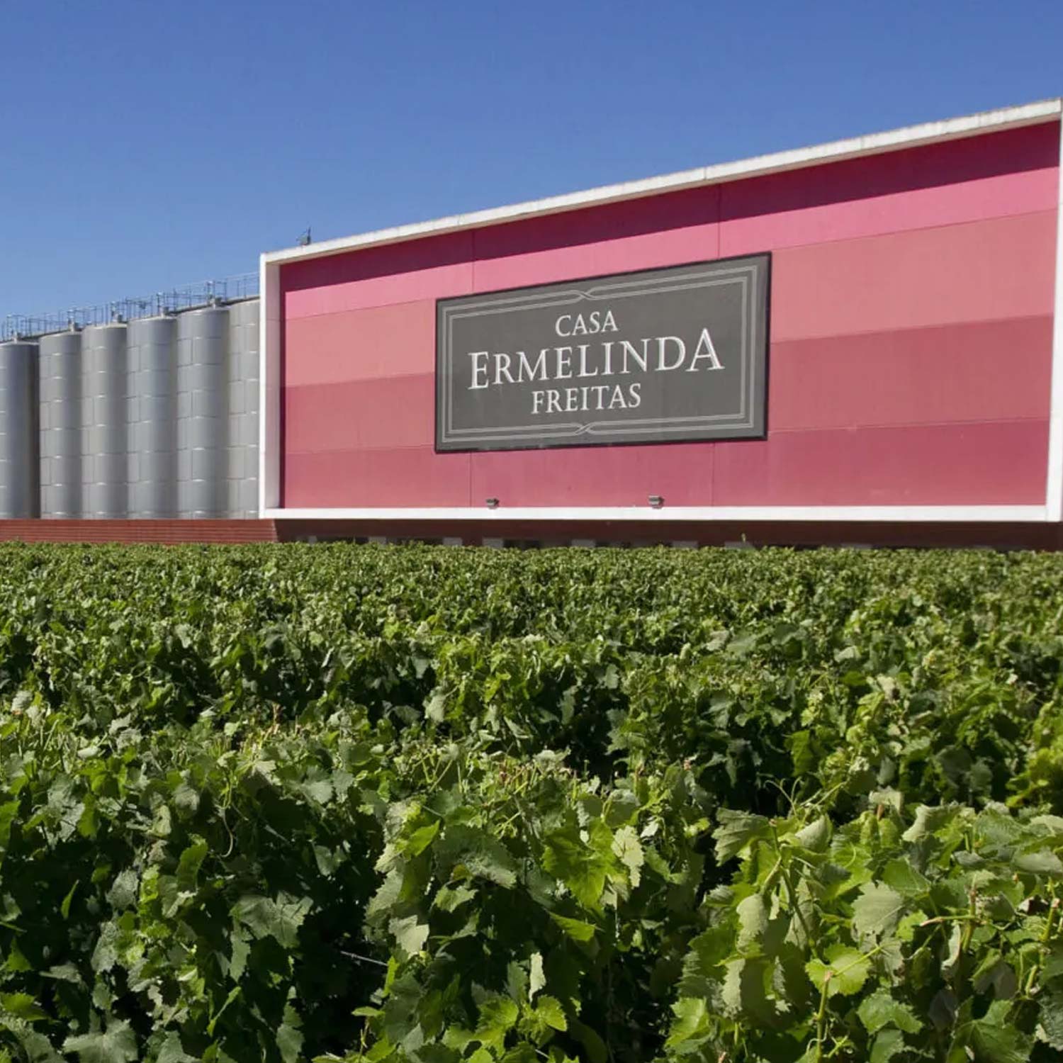 Flor de la Mar Chardonnay Barrel Aged - Ermelinda Freitas