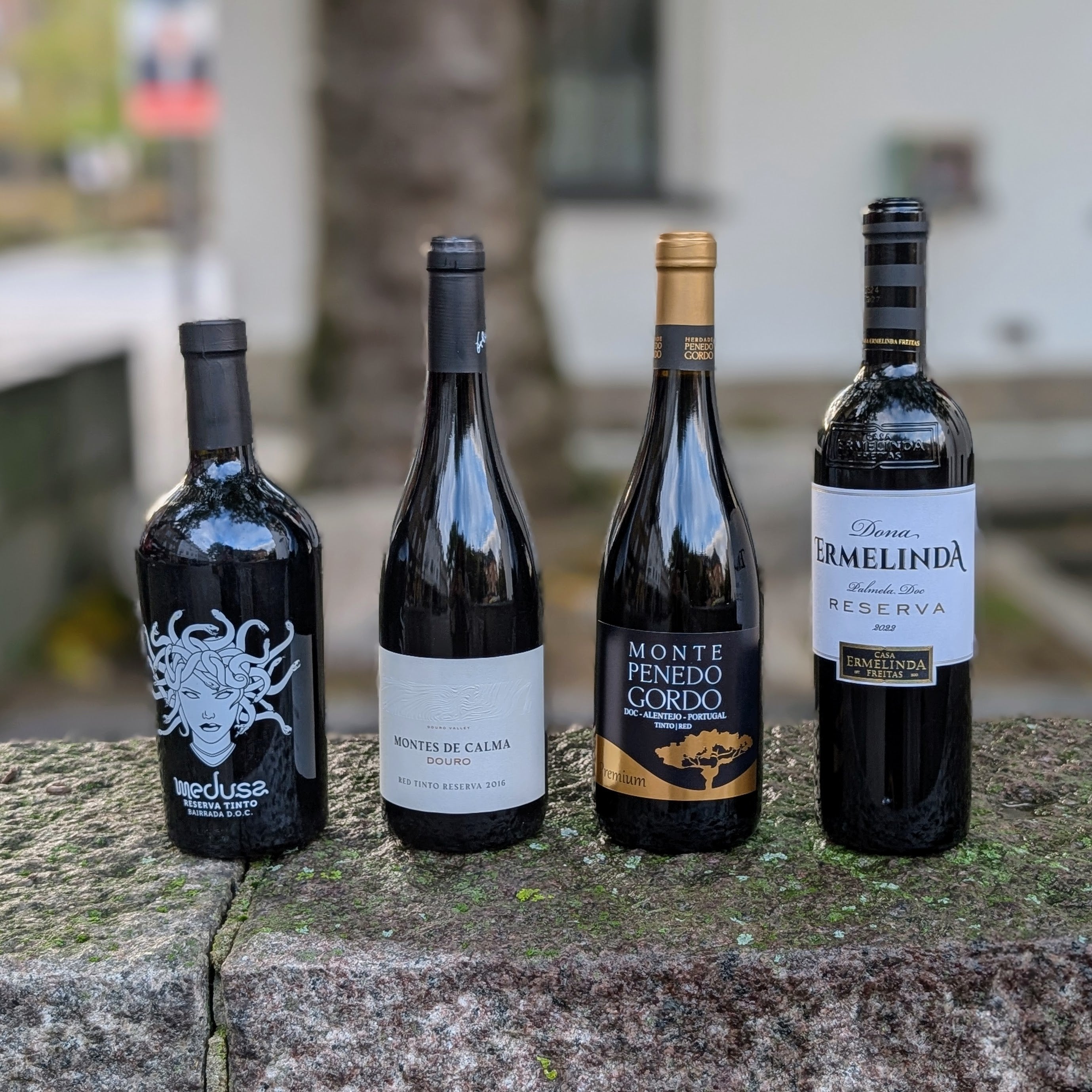 Vinterens Rødvinskalender: 4 Fyldige Rødvine til Mørke Aftener