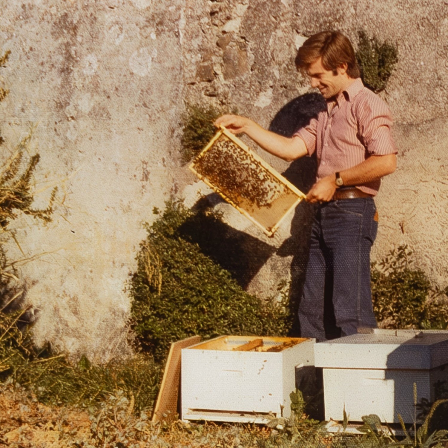 Honning med valnødder  - Serramel