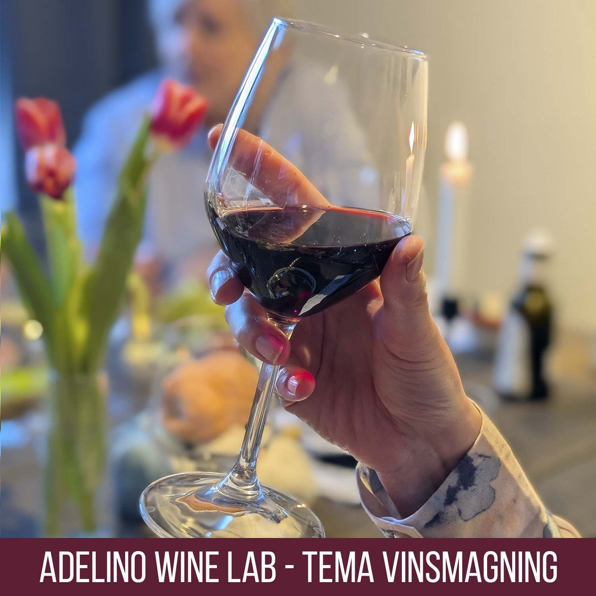 Adelino Wine Lab, Aalborg 6. november 2026 – Rødvin & Efterår