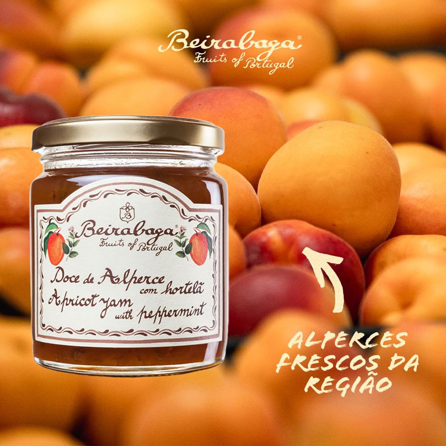 Abrikos Marmelade med mynte - Beirabaga