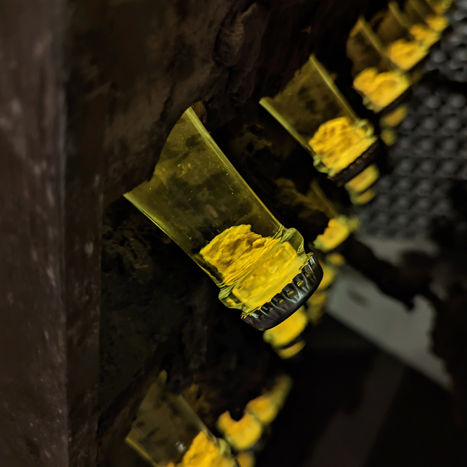 Adelino Wine Lab – Vinsmagning "Bobler i glasset", 12. juni 2026