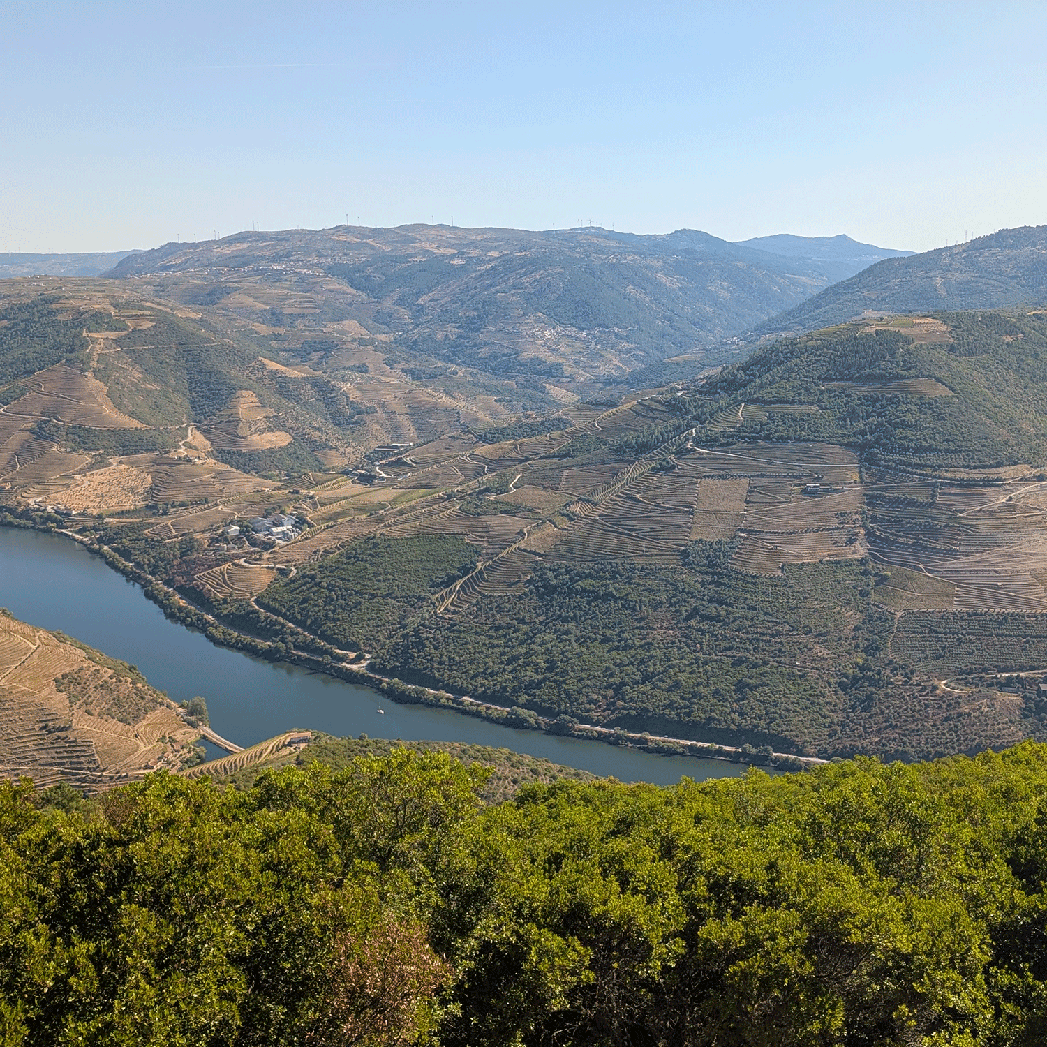 Adelino Wine Lab – Vinsmagning "Douro Beyond Port", 19. juni 2026