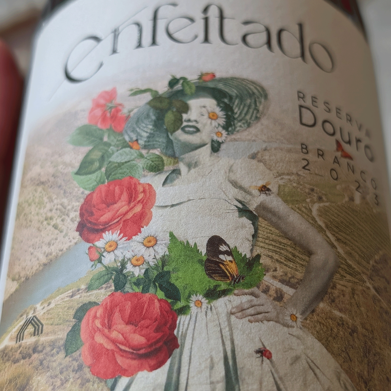 Adelino Wine Lab – Vinsmagning med Cas’Amaro, 21. maj 2026