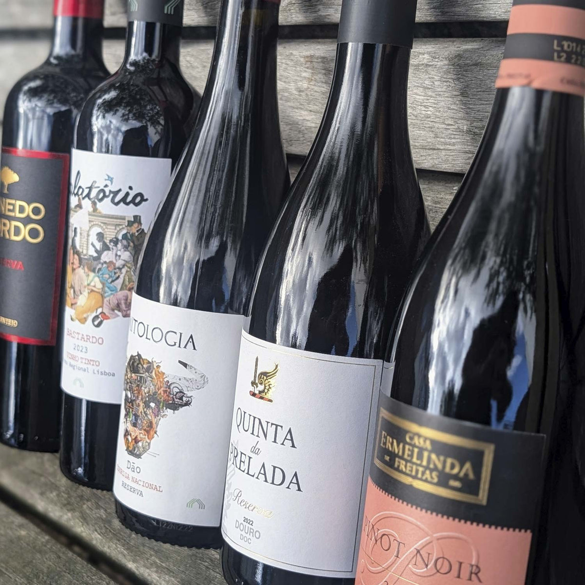 Adelino Wine Lab, Aalborg 6. november 2026 – Rødvin & Efterår