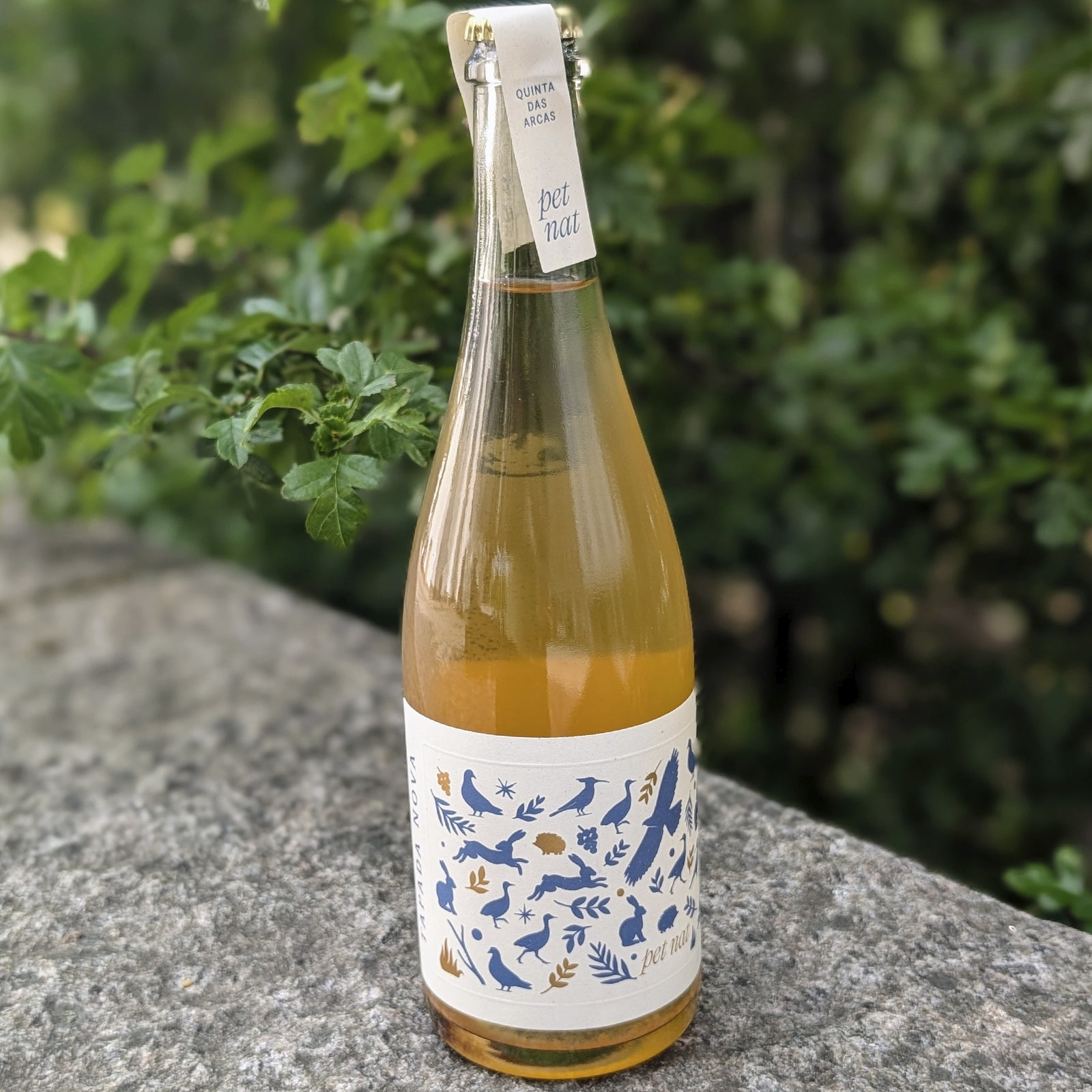 Tapada Nova, Pet-Nat - Quinta das Arcas