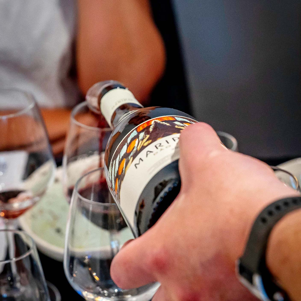 Adelino Wine Lab, Aalborg 6. november 2026 – Rødvin & Efterår