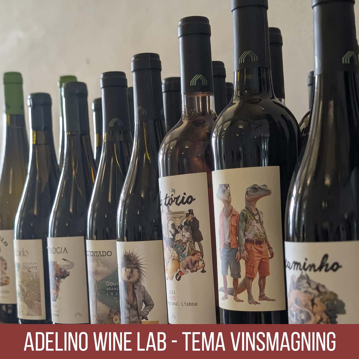 Adelino Wine Lab, Aalborg 7. november 2026 – Rødvin & Efterår